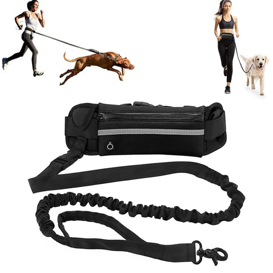 Paws on The Go Hands Free Pet Leash and Pouch